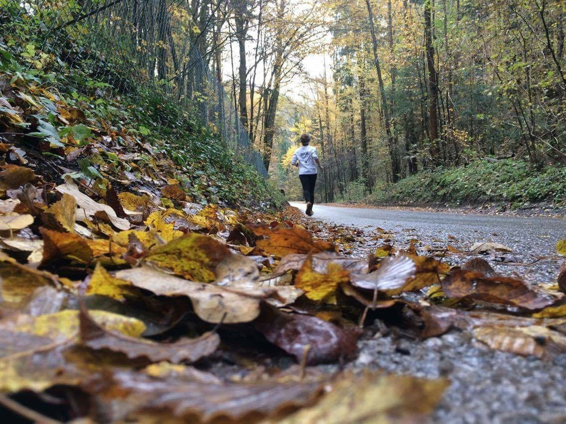 Josie running her 100 mile marathon.