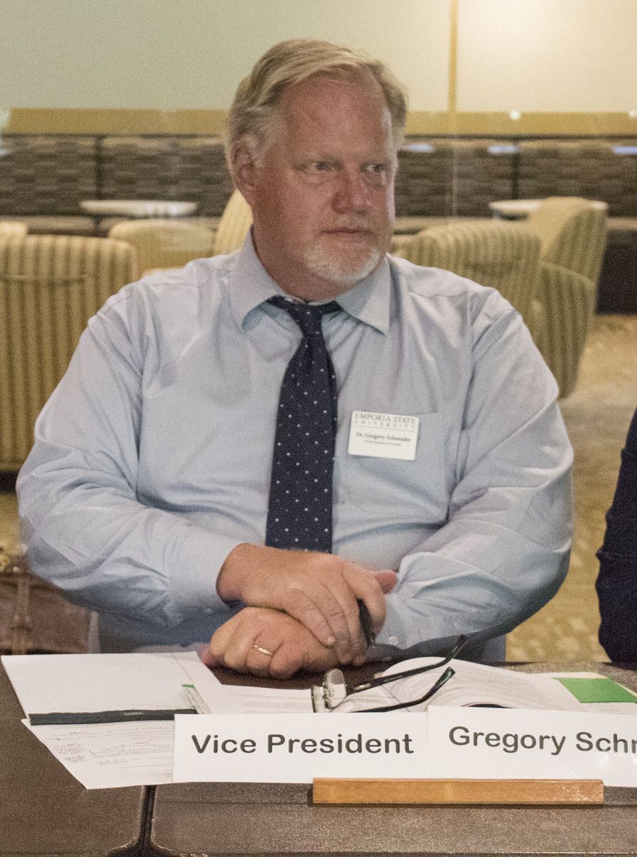 Greg Schneider, first vice president and professor of business administration, will choose the at-large senator for the second vice president nominating committee. The election will take place in the spring.