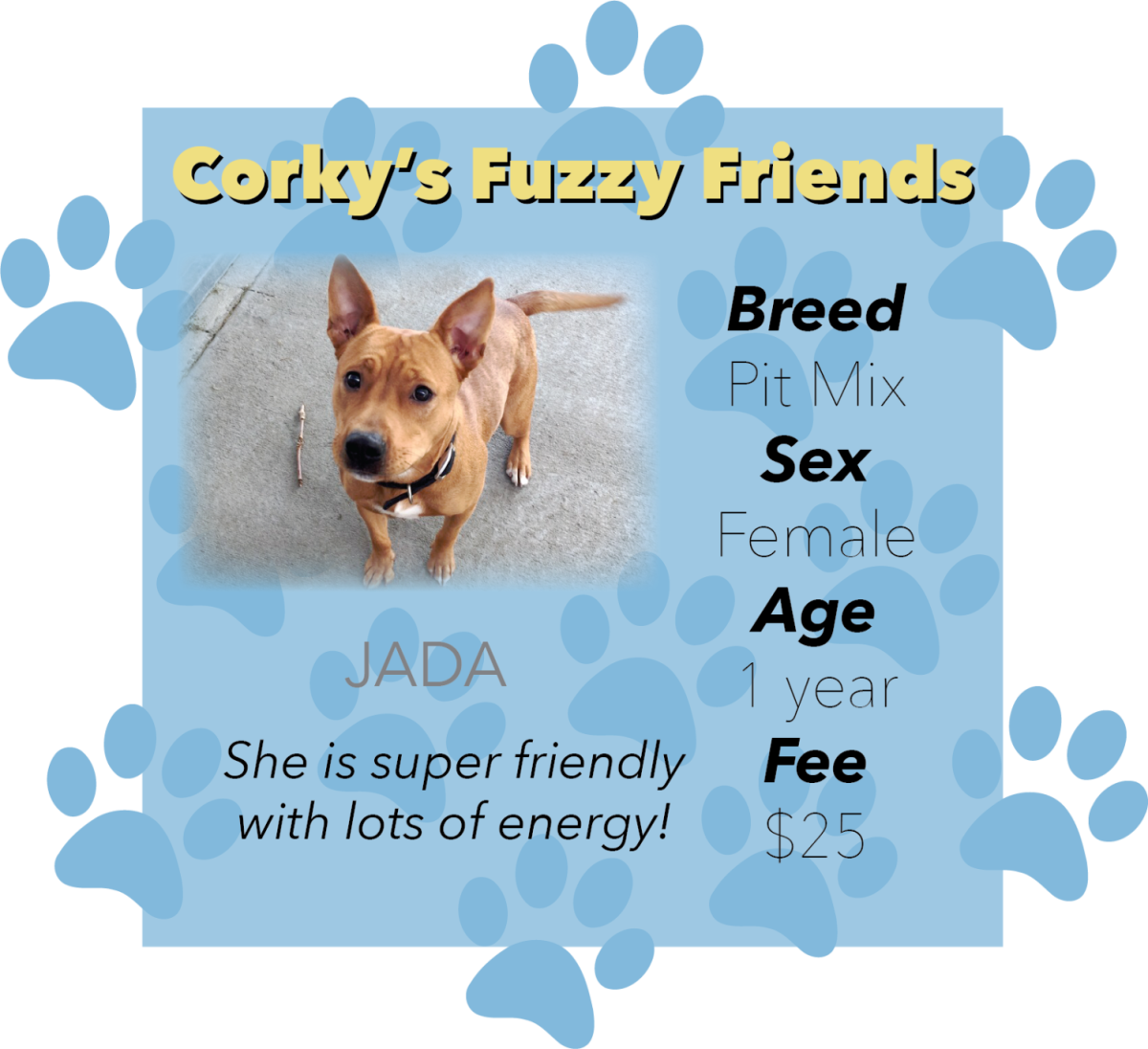 Those interested in adopting Jada should fill out an application to adopt at the Emporia Kansas Animal Shelter, 1216 Hatcher St. Jada, like all animals at the shelter, was picked up as a stray.