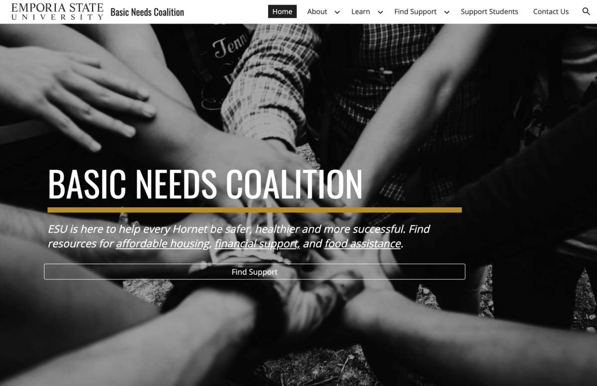 Source: Basic Needs Coalition Website