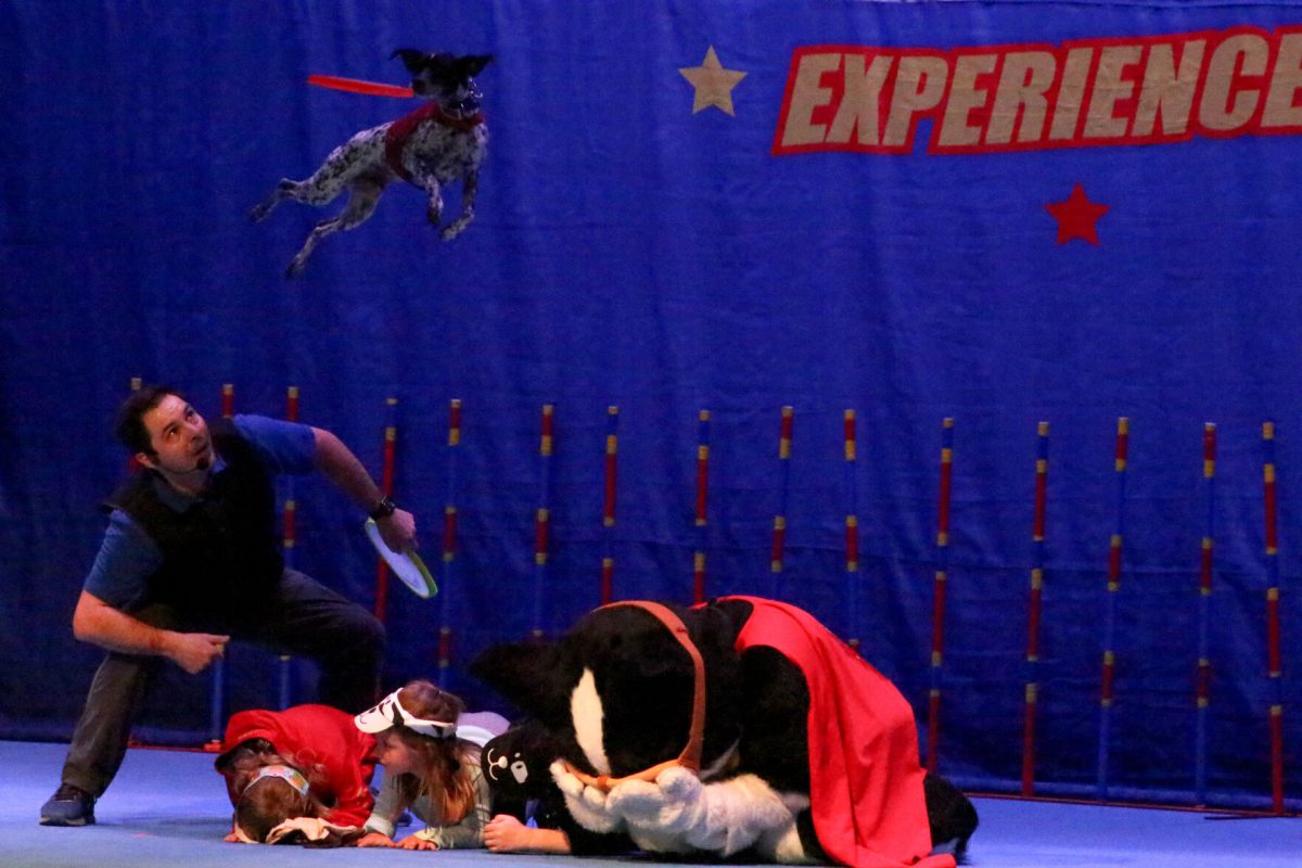 The Perondi&#8217;s stunt dog experience was held in Emporia State&#8217;s Albert Taylor Hall inside of Plumb Hall at 7 p.m. on April 8.