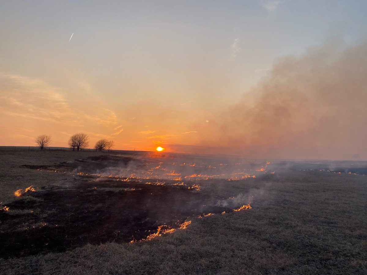 The Eidman family burns their pasture, starting the head of it with a drip torch. Later, they went through to put out the back side to prevent the fire spreading to the neighbor's on Monday, March 27.&#160;