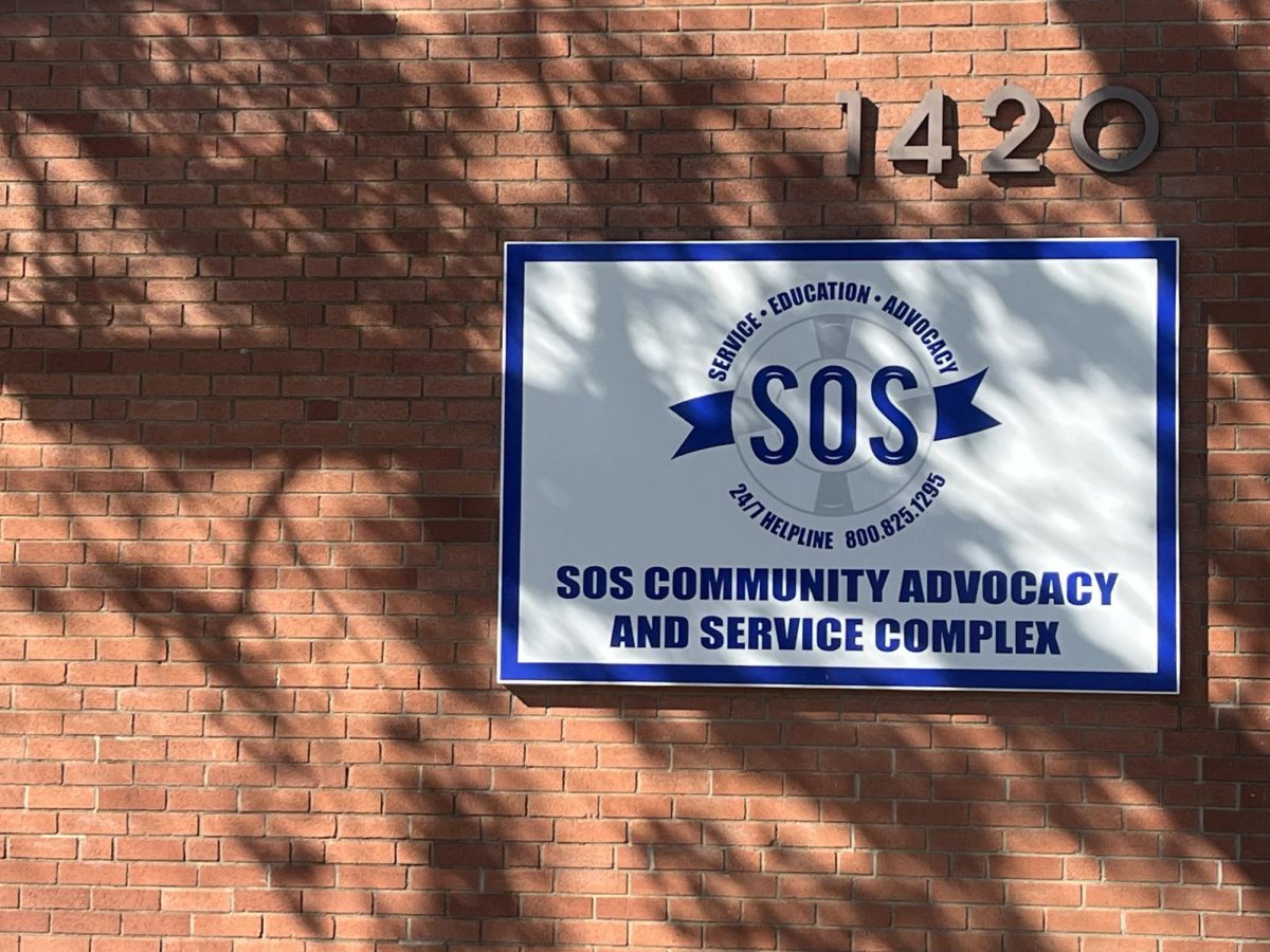 Hope-A-Palooza raises both money and hope for abuse survivors