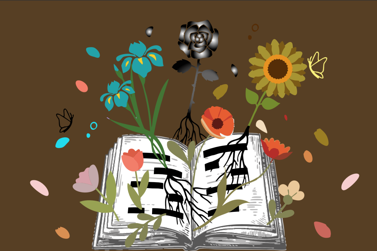 Whose stories belong? 