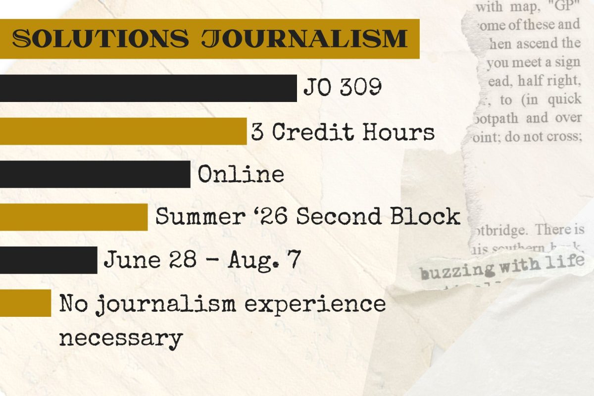 Summer semester to offer "pilot" journalism course